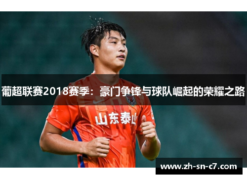 葡超联赛2018赛季:豪门争锋与球队崛起的荣耀之路 葡超联赛2018赛季:豪门争锋与球队崛起的荣耀之路