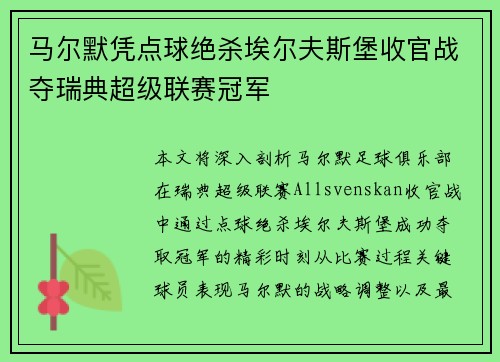 马尔默凭点球绝杀埃尔夫斯堡收官战夺瑞典超级联赛冠军